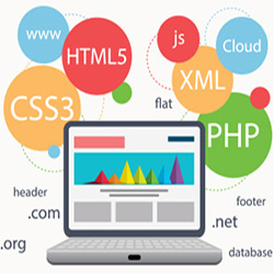 Web Development service with prominence software like php, wordpress, joomla, asp.net