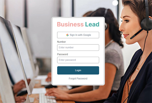 CRM Business Lead